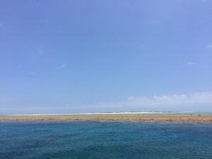 海