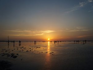 夕日