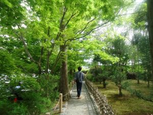 観光している人